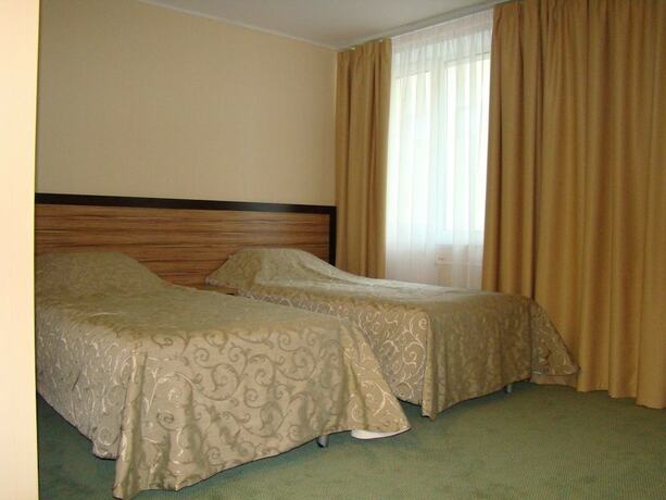 Imagen de la habitación del Hotel Soyuz, Mosc&uacute; Regi&oacute;n. Foto 19