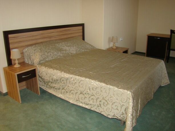 Imagen de la habitación del Hotel Soyuz, Mosc&uacute; Regi&oacute;n. Foto 30