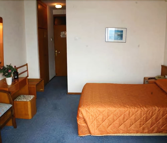 Imagen de la habitación del Hotel Sozer. Foto 7