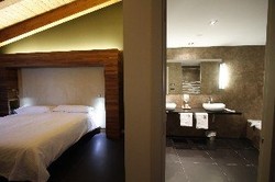 Imagen de la habitación del Hotel Spa Aguas de los Mallos. Foto 35