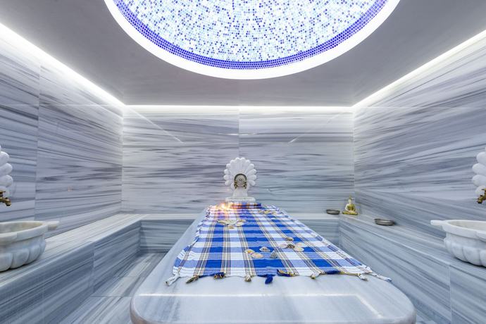 Imagen de la piscina del Hotel Spa Alchemist Residence. Foto 9