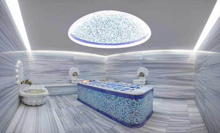 Imagen de la piscina del Hotel Spa Alchemist Residence. Foto 10