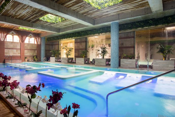 Imagen de la piscina del Hotel Spa Alchemist Residence. Foto 13