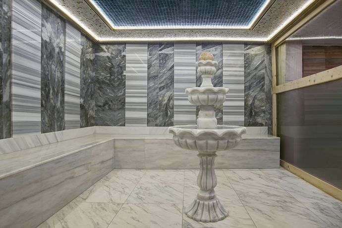 Imagen de la piscina del Hotel Spa Alchemist Residence. Foto 17