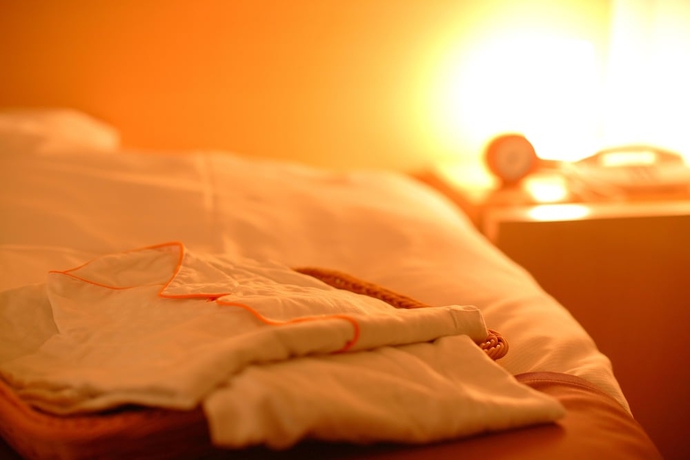 Imagen de la habitación del Hotel Spa Alpina Hidatakayama. Foto 9