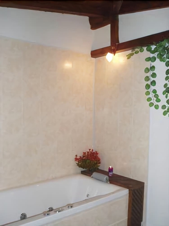 Imagen de los interiores del Hotel Spa And Apartment Mountain Romance. Foto 15