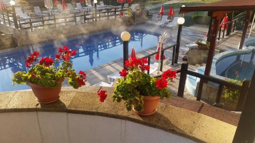 Imagen general del Hotel Spa Aspa Vila. Foto 4