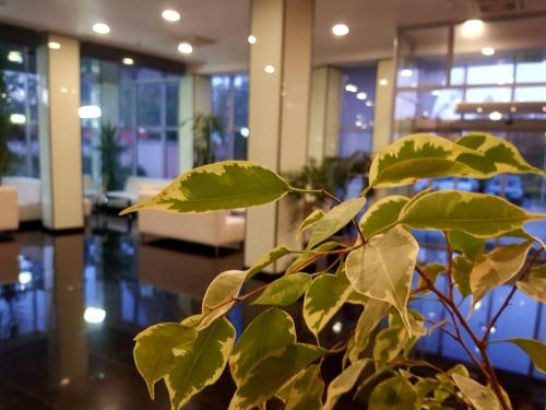 Imagen general del Hotel Spa Ata. Foto 4