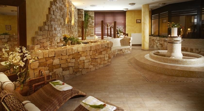 Imagen de la piscina del Hotel Spa Bil&yacute; Hořec. Foto 19