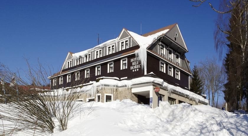 Imagen de los exteriores del Hotel Spa Bil&yacute; Hořec. Foto 15