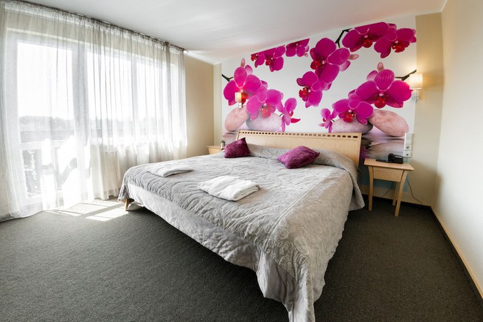 Imagen de la habitación del Hotel Spa Ezeri. Foto 10