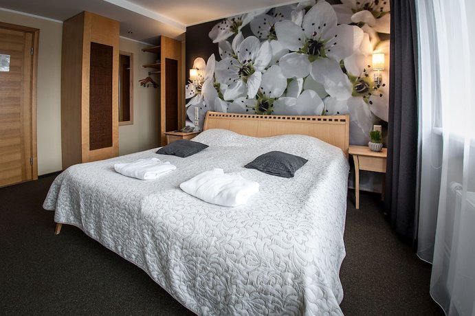 Imagen de la habitación del Hotel Spa Ezeri. Foto 11