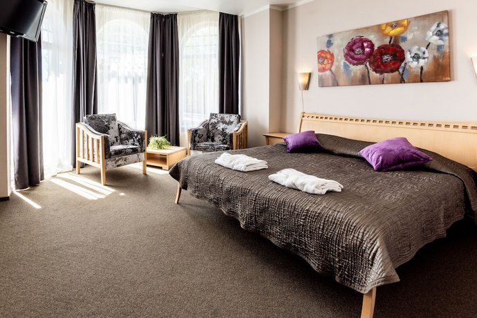 Imagen de la habitación del Hotel Spa Ezeri. Foto 12