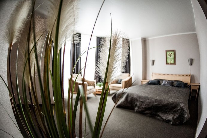 Imagen de la habitación del Hotel Spa Ezeri. Foto 17