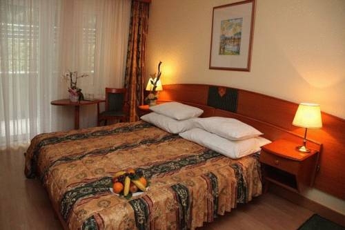 Imagen general del Hotel Spa H&eacute;v&iacute;z. Foto 12