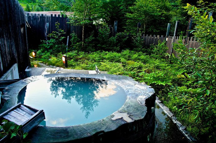 Imagen de la piscina del Hotel Spa Lodge Redwood Inn. Foto 20