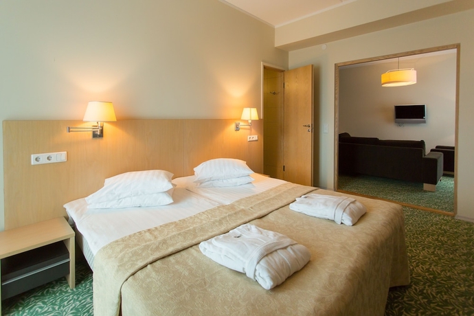 Imagen de la habitación del Hotel Spa Meri. Foto 12