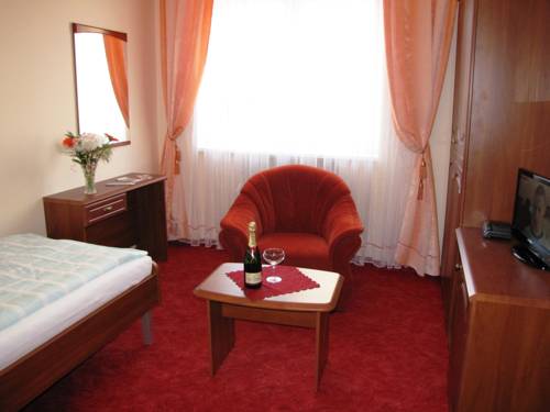Imagen de la habitación del Hotel Spa Purkyně. Foto 3