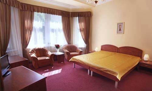 Imagen de la habitación del Hotel Spa Purkyně. Foto 6