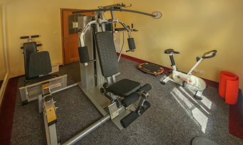 Imagen de la habitación del Hotel Spa Purkyně. Foto 8