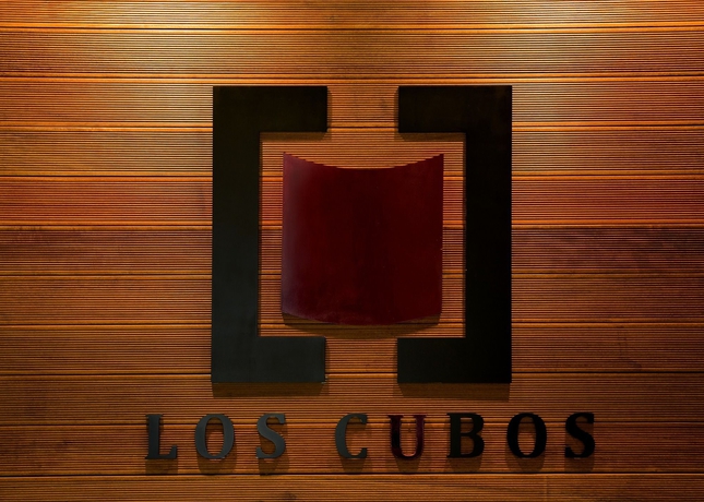 Imagen de los interiores del Hotel Spa Qh Centro Leon. Foto 9