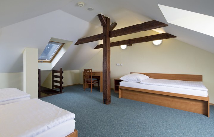 Imagen de la habitación del Hotel Spa Resort Libverda - Lesni Zatisi. Foto 15