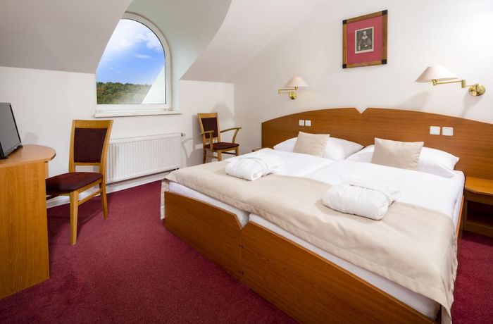 Imagen de la habitación del Hotel Spa Resort Libverda - Nov&yacute; Dům. Foto 11