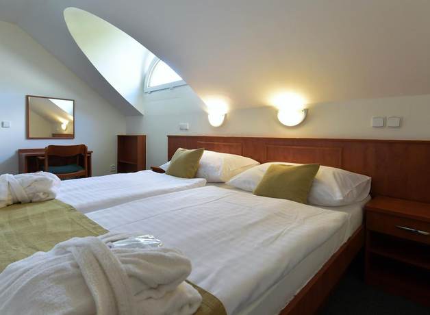 Imagen de la habitación del Hotel Spa Resort Libverda - Panorama. Foto 13