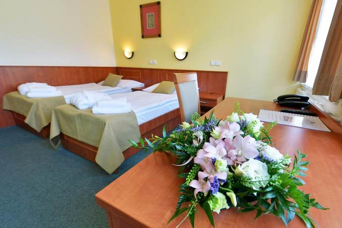 Imagen de la habitación del Hotel Spa Resort Libverda - Panorama. Foto 18