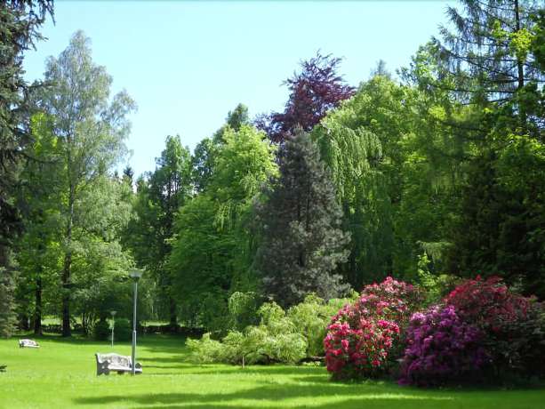 Imagen de los exteriores del Hotel Spa Resort Libverda - Villa Friedland. Foto 14