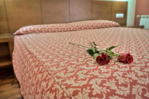 Imagen de la habitación del Hotel Spa Sinagoga. Foto 5