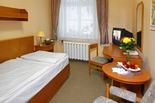 Imagen de la habitación del Hotel Spa Vltava. Foto 11