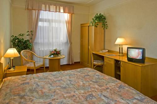 Imagen de la habitación del Hotel Spa Vltava. Foto 14