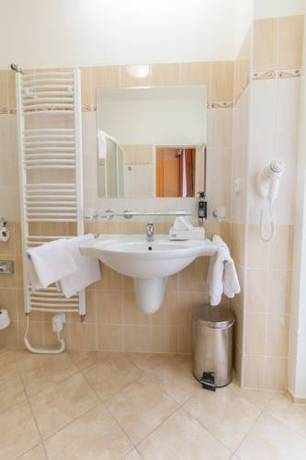 Imagen de la habitación del Hotel Spa Vltava. Foto 15