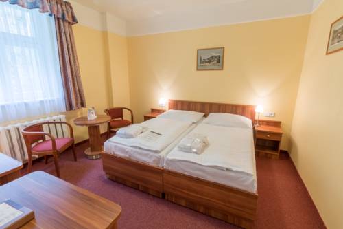 Imagen de la habitación del Hotel Spa Vltava. Foto 16