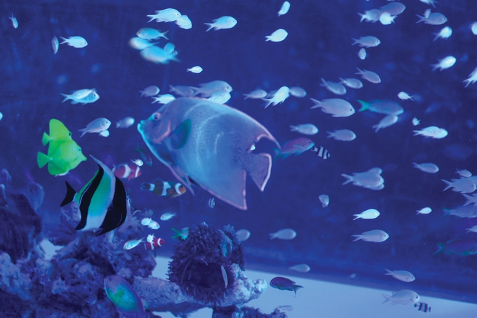 Imagen general del Hotel Spa World. Foto 2