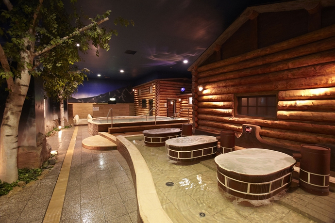 Imagen de la piscina del Hotel Spa World. Foto 15