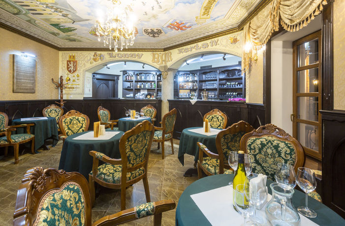 Imagen de los interiores del Hotel Spa Z&aacute;mek Lužec. Foto 12