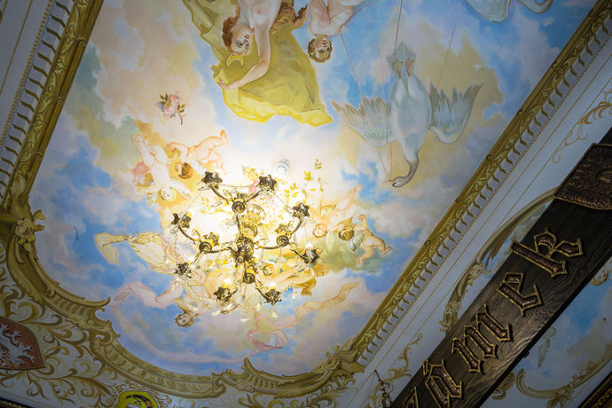 Imagen de los interiores del Hotel Spa Z&aacute;mek Lužec. Foto 13