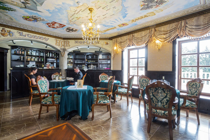 Imagen de los interiores del Hotel Spa Z&aacute;mek Lužec. Foto 14