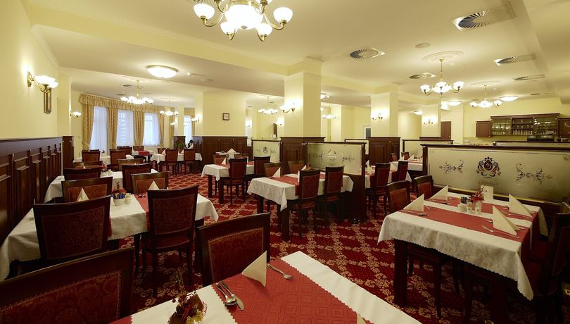 Imagen del bar/restaurante del Hotel Spa Čajkovskij. Foto 8