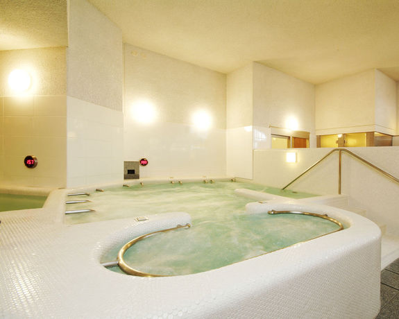 Imagen de la piscina del Hotel Spa and Maihama Eurasia. Foto 12