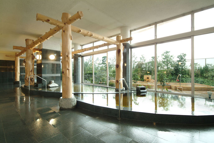Imagen general del Hotel Spa and Maihama Eurasia. Foto 5