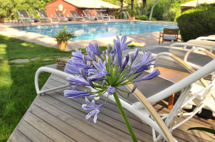 Imagen de la piscina del Hotel Spa and Restaurant Cantemerle. Foto 15