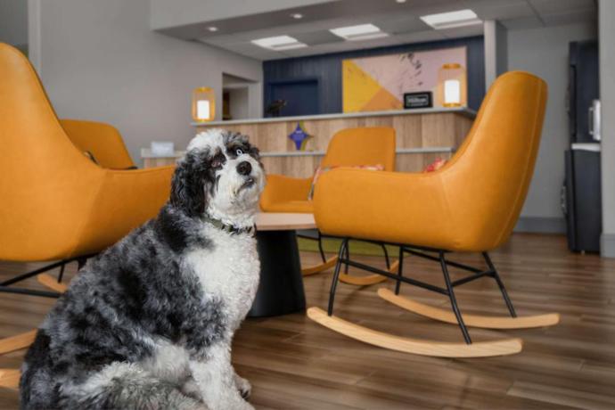 Imagen general del Hotel Spark By Hilton Albuquerque North I-25. Foto 18