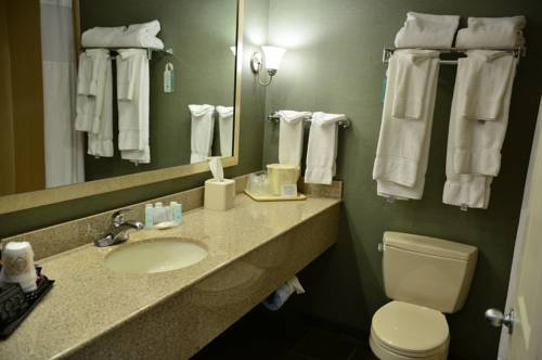 Imagen de la habitación del Hotel Spark By Hilton Lake George Outlets. Foto 16