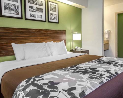 Imagen de la habitación del Hotel Spark By Hilton Louisville Airport. Foto 3