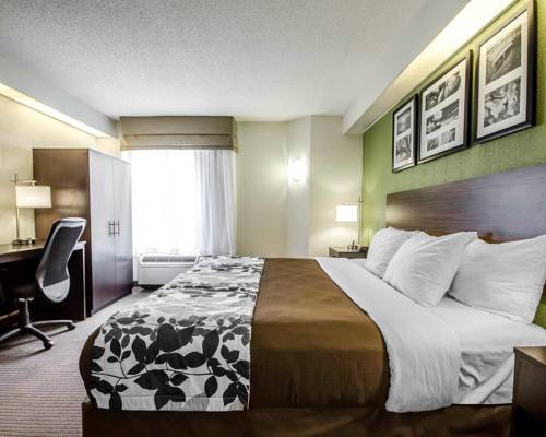 Imagen de la habitación del Hotel Spark By Hilton Louisville Airport. Foto 4