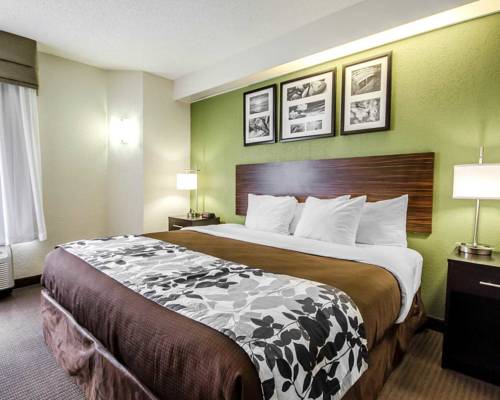 Imagen de la habitación del Hotel Spark By Hilton Louisville Airport. Foto 5