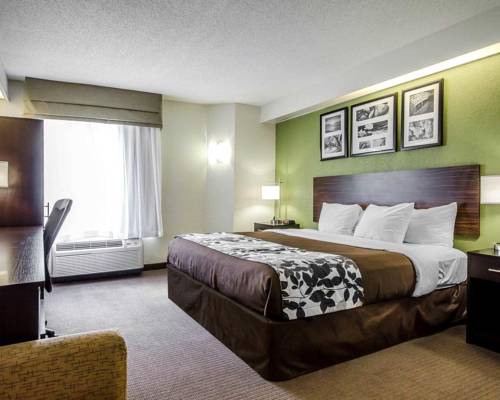 Imagen de la habitación del Hotel Spark By Hilton Louisville Airport. Foto 6